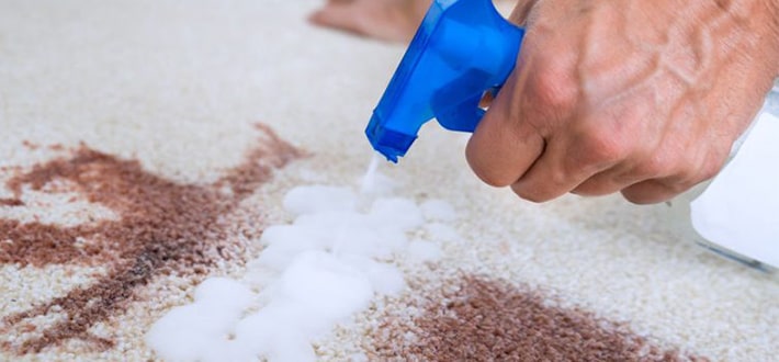 How to Remove oil Stains From Carpet and Rug NYCleaners Blog
