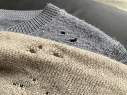 Moth Damage Cashmere