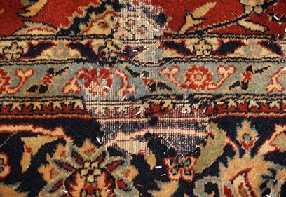 Oriental Rug Moth Proofing